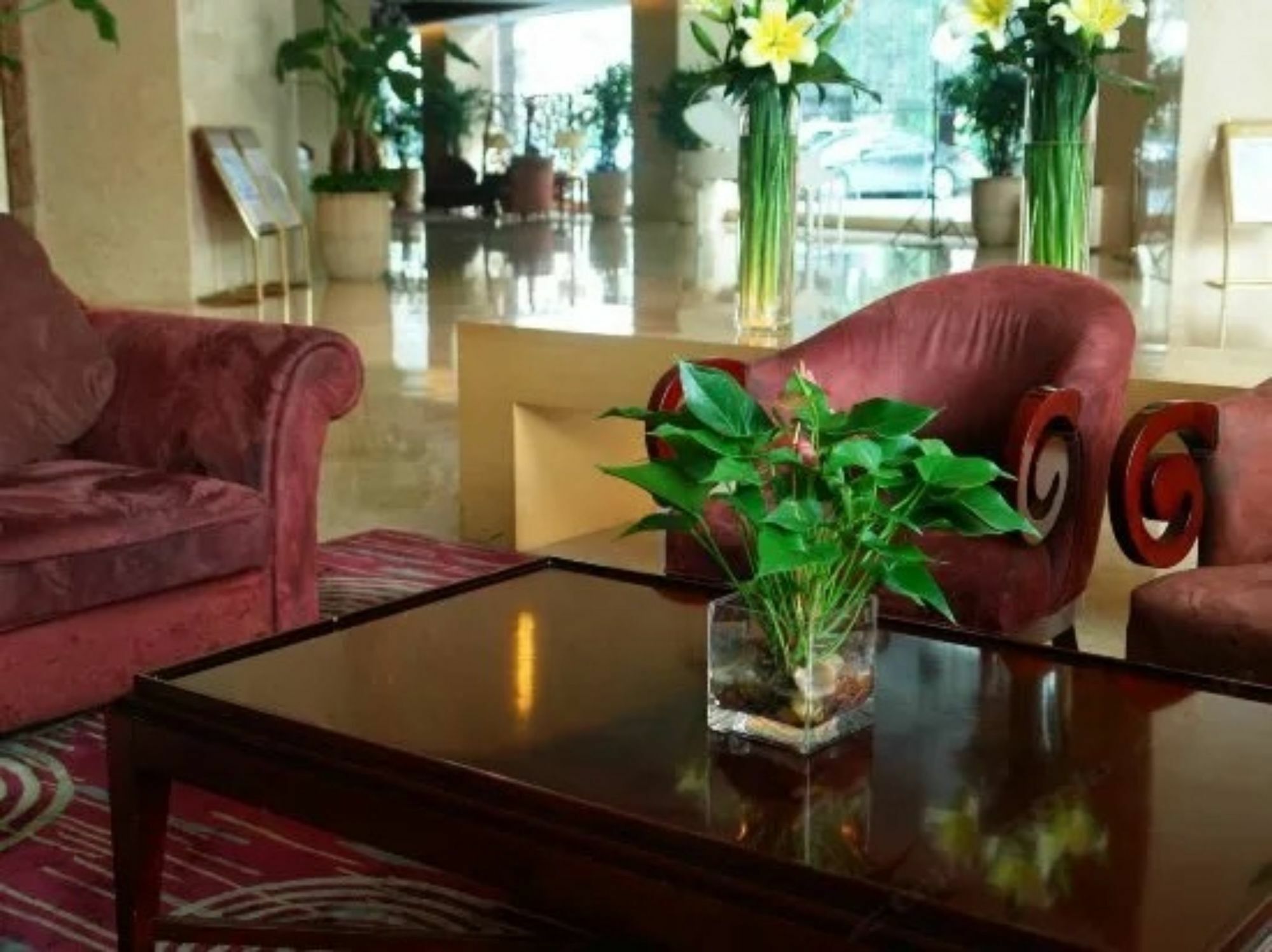 Hilton Garden Inn Guangzhou Tianhe Exterior photo